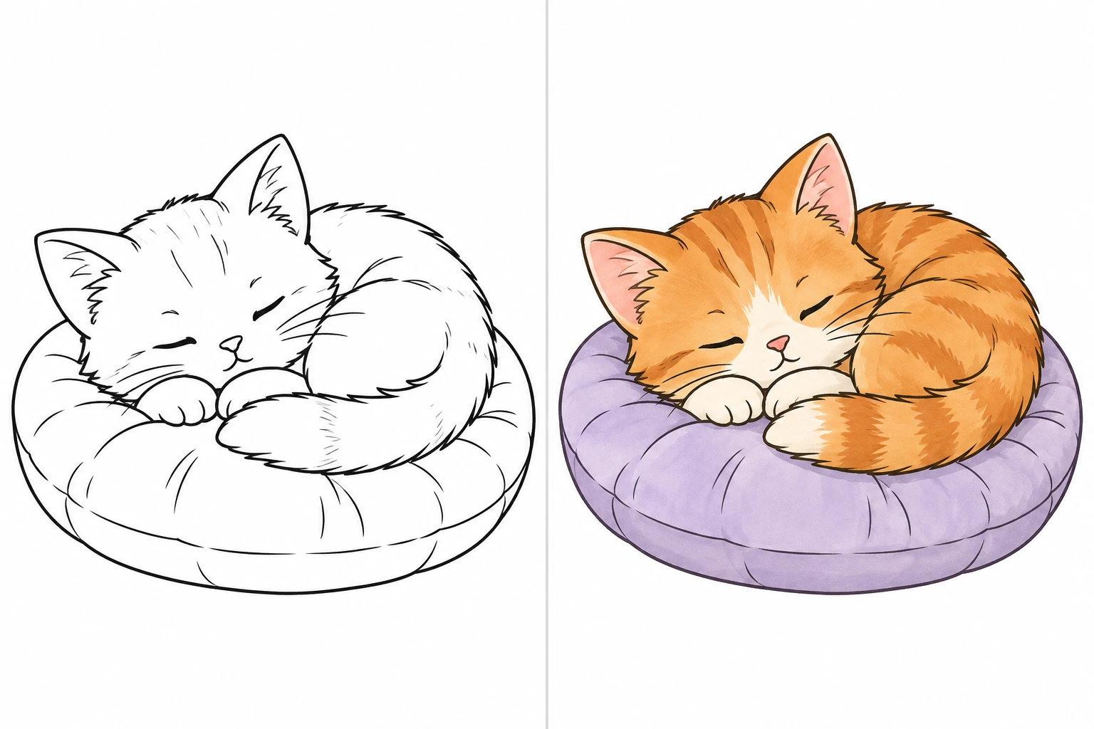 Animals: uncolored drawing on the left, colored illustration on the right