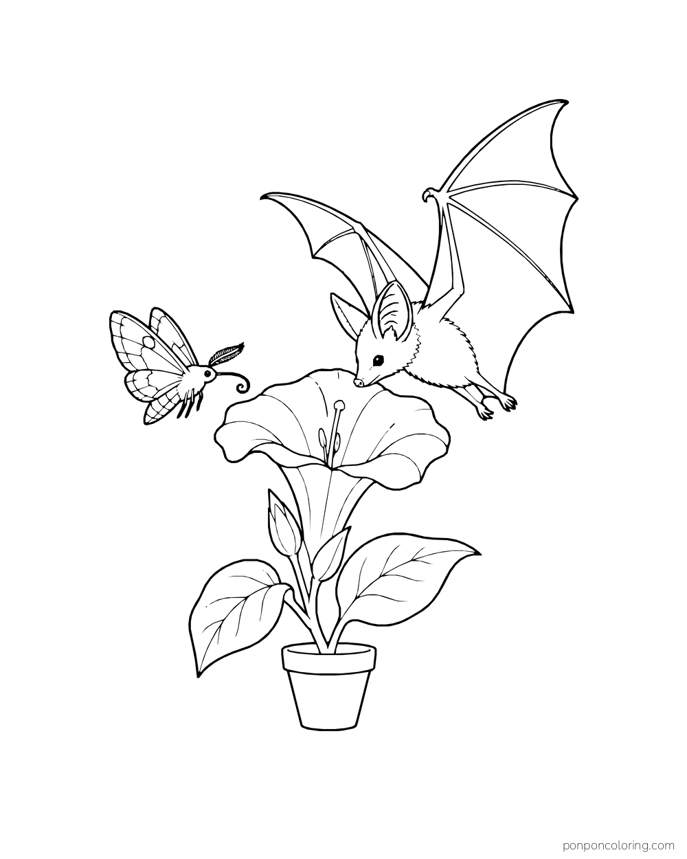 A bat and a moth approach a potted trumpet flower from opposite sides.