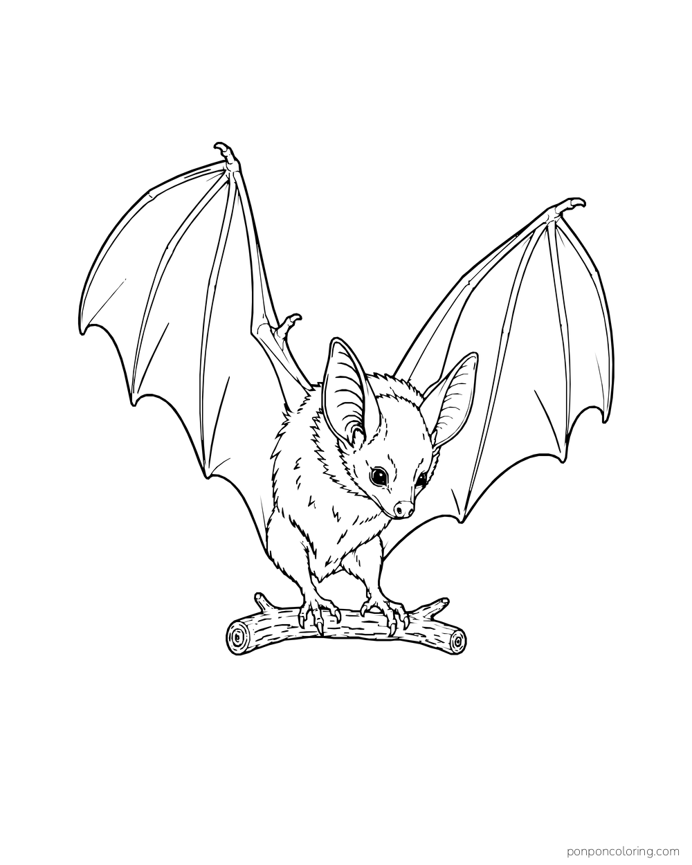 A bat lowers its feet toward a short twig as its wings curve upward to land.