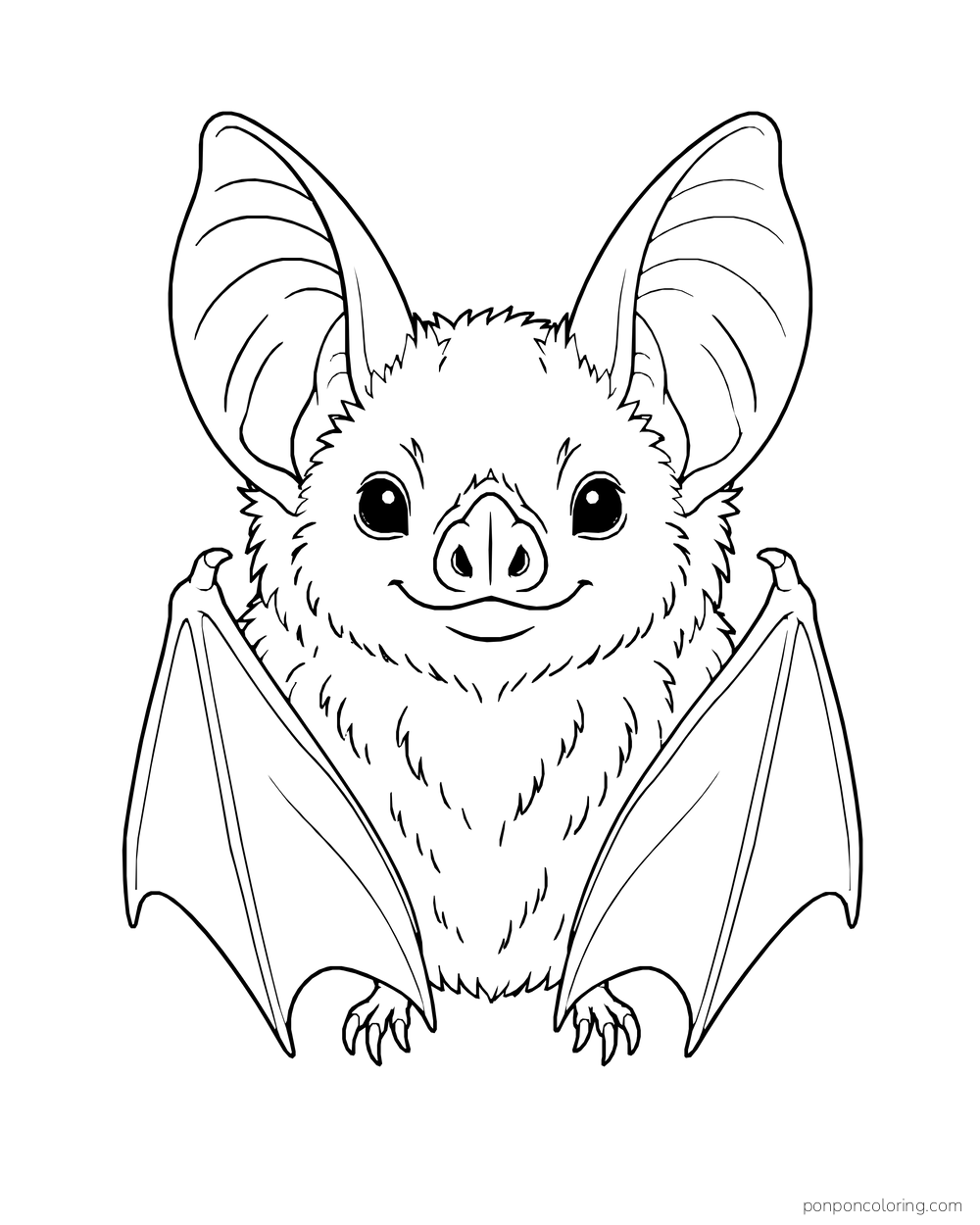 A close portrait of a smiling bat shows large ears, a small nose and folded wing tips.