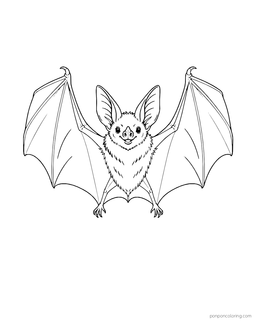 A front-facing bat spreads both broad wings with long finger lines visible.