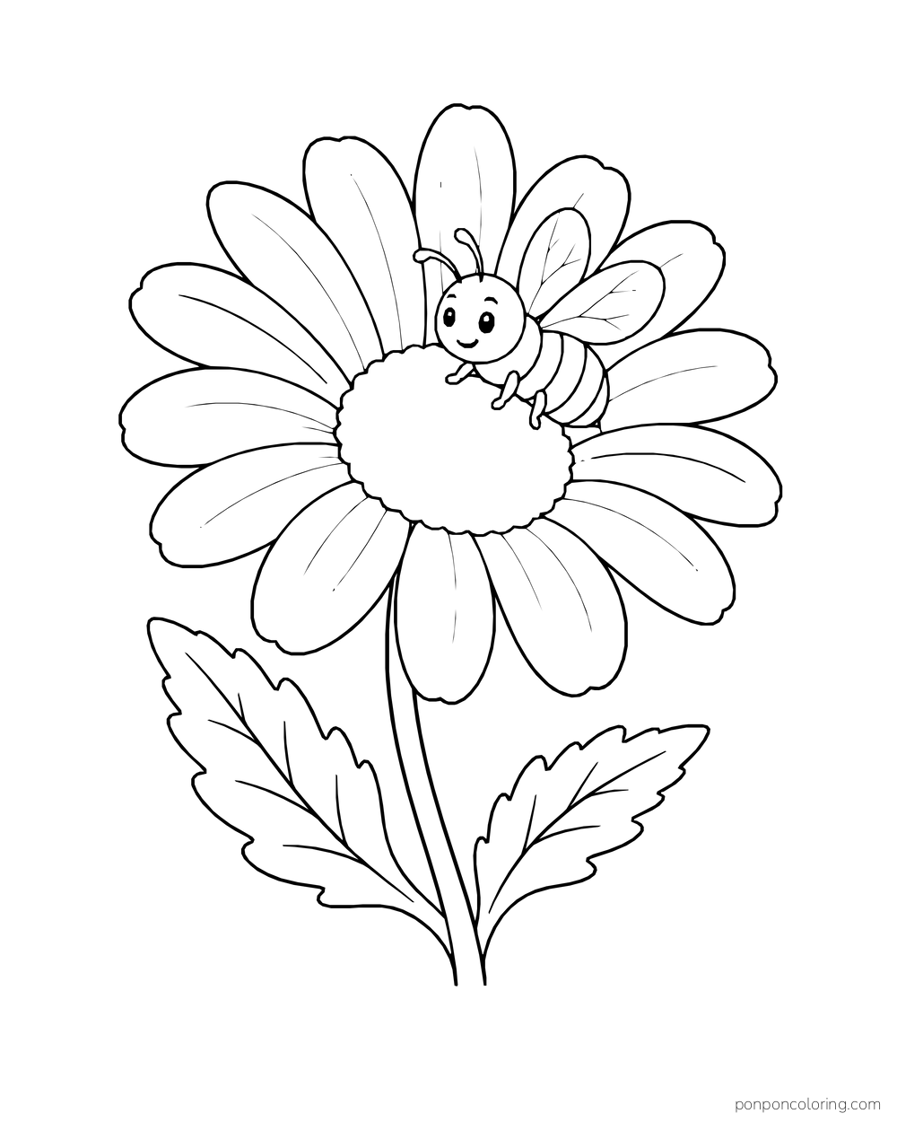 A friendly bee rests on the center of a large daisy.
