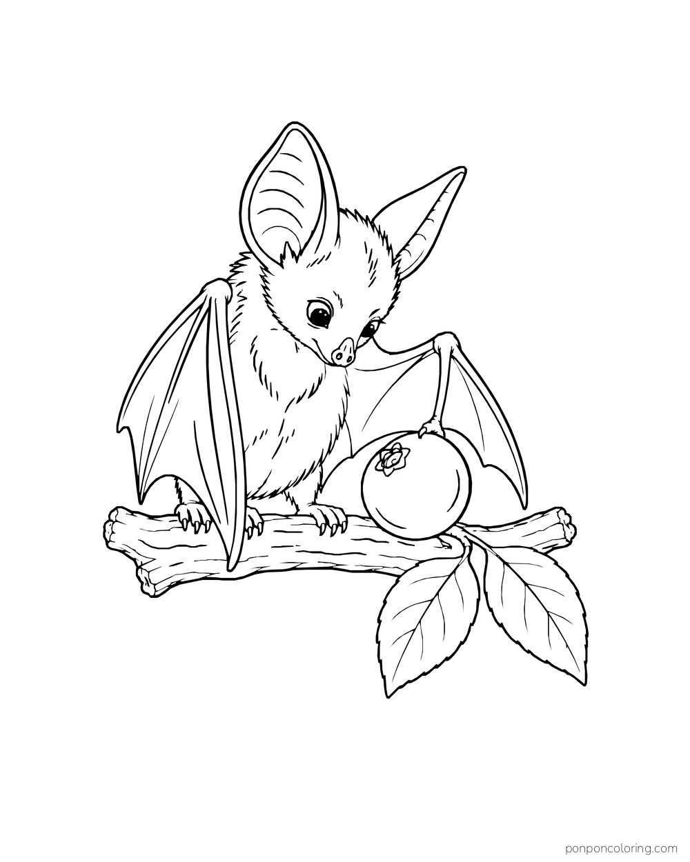 A young bat looks at a round berry resting on a short leafy branch.
