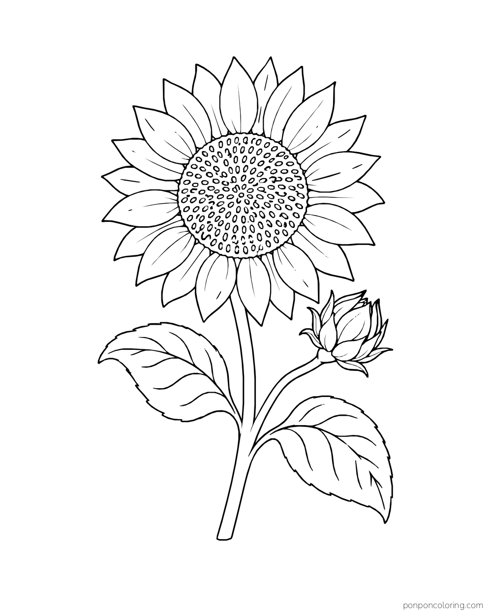 A large open sunflower with a smaller unopened bud branching from its stem.