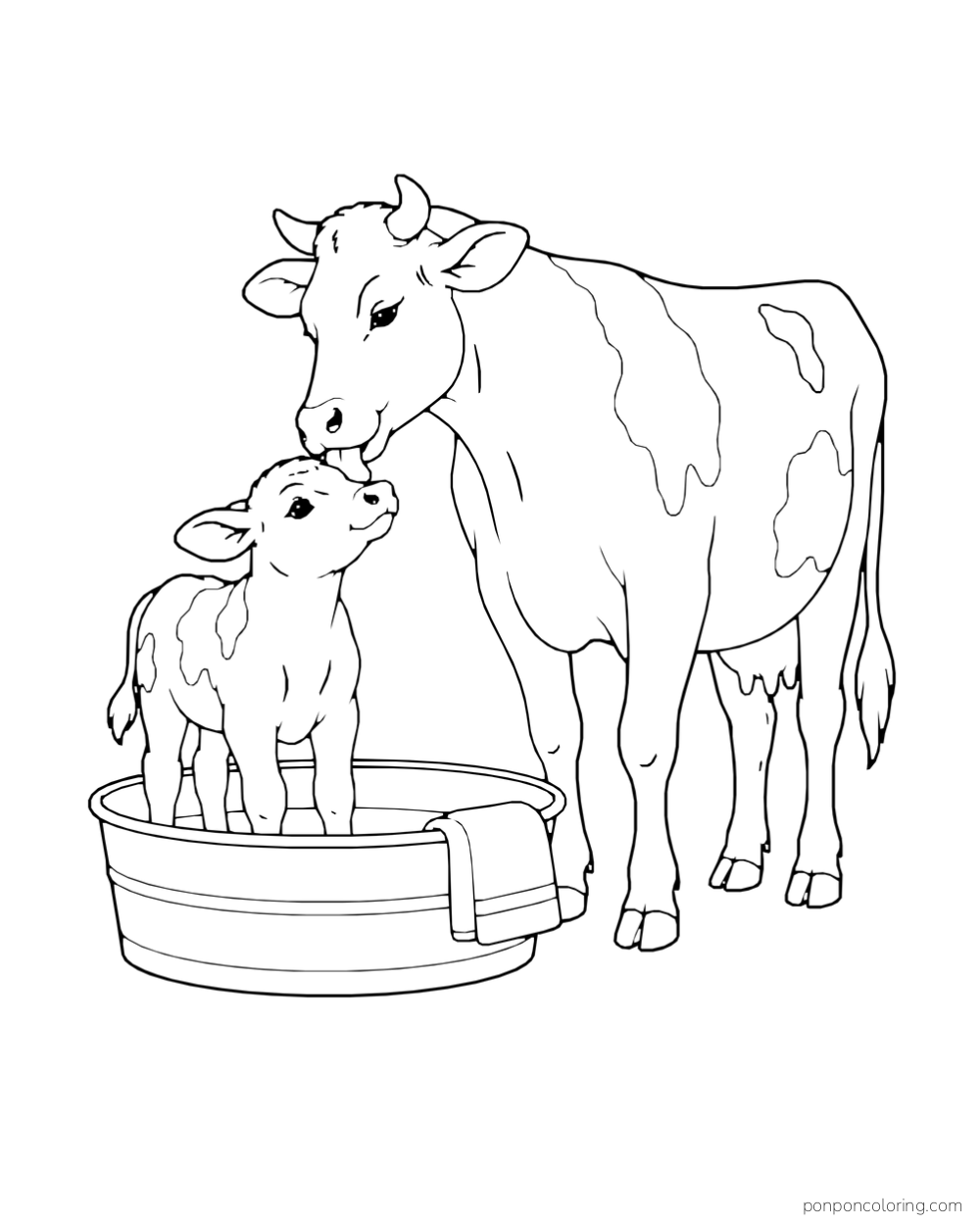A calf stands in a small tub beside a mother cow.