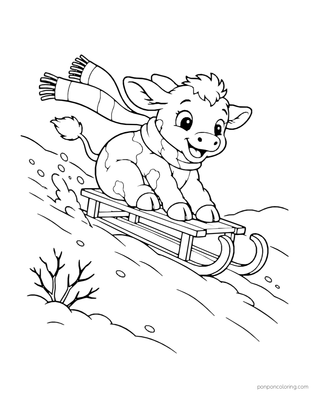 A scarf wearing calf rides a wooden sled down a snowy slope.