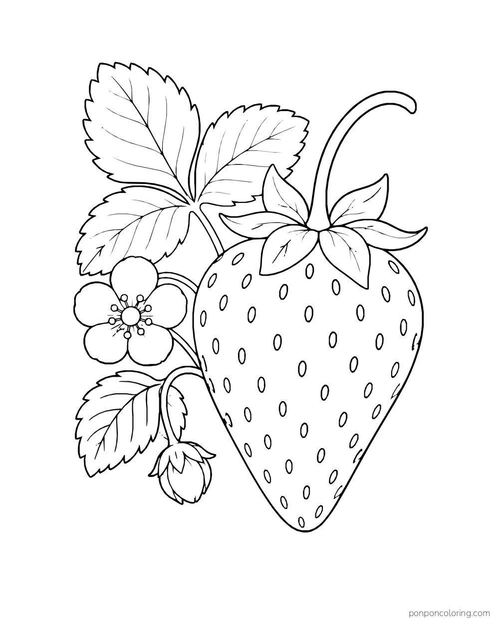 One oversized strawberry hangs beside leaves, a blossom and a small bud.
