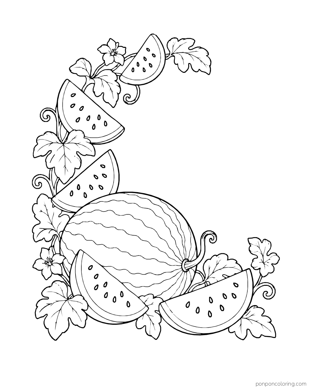 A crescent-shaped arrangement of watermelon wedges and vine leaves above a whole melon.