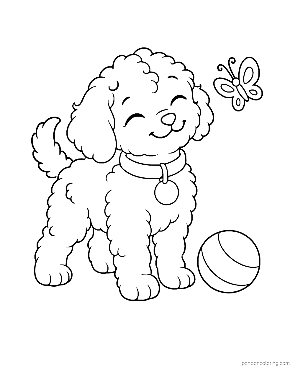 A curly puppy with a round collar tag stands beside a striped ball while a butterfly flies overhead.
