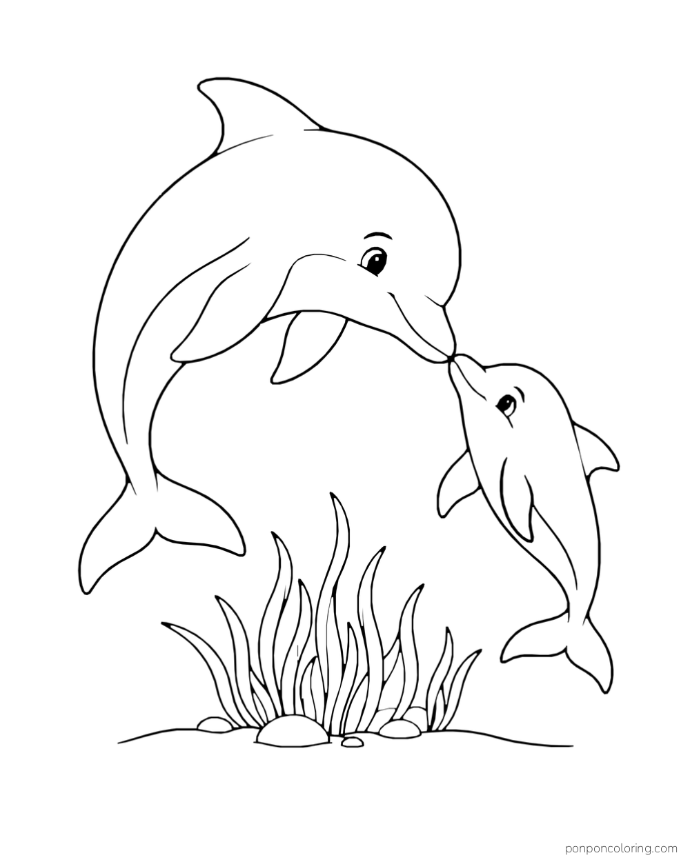 An adult dolphin and a calf touch noses above seaweed.