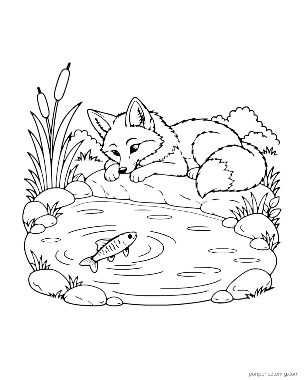 A fox rests on a bank and watches a fish in a small enclosed pond.