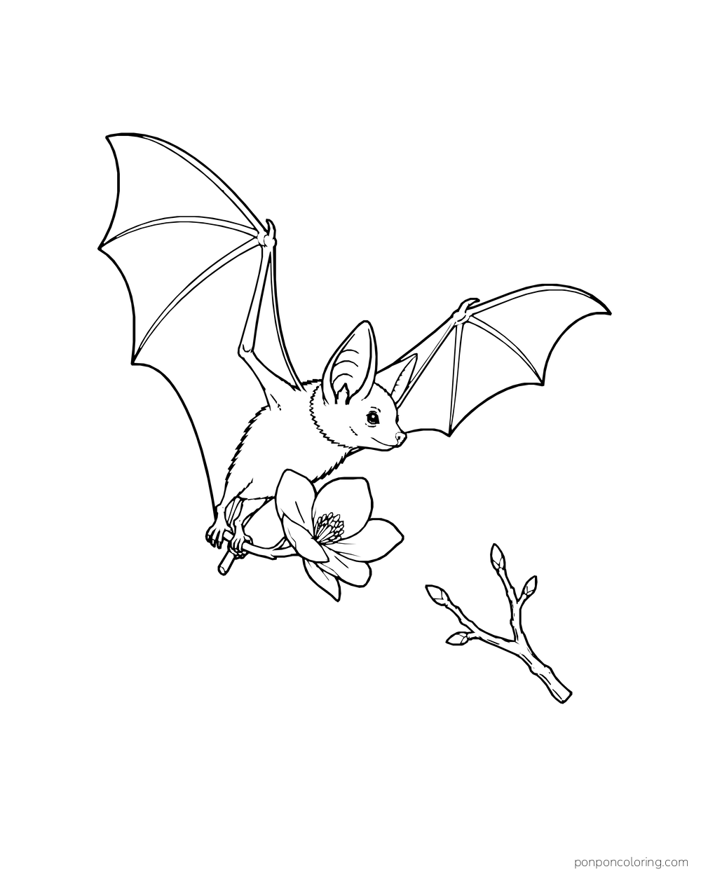 A bat carries a flower in its feet toward a short budding twig.