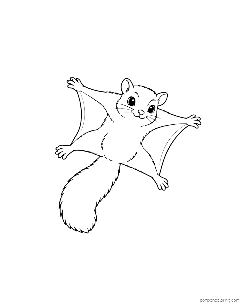 A flying squirrel with four spread paws, two gliding membranes, rounded ears, and a long bushy tail.