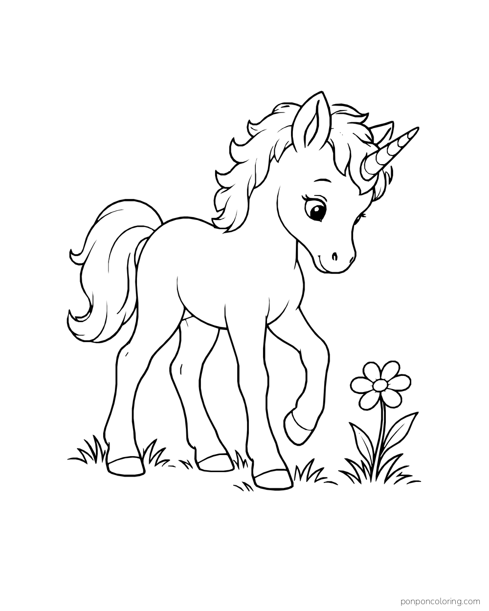 A little unicorn foal steps beside a single meadow flower.