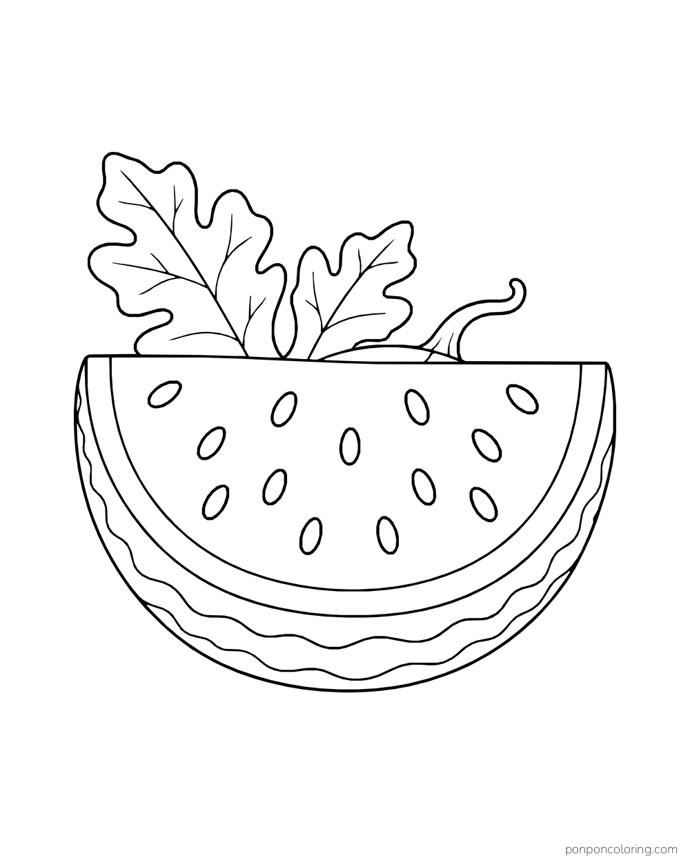 A half watermelon showing many outlined seeds, thick rind bands, leaves, and a curling vine.