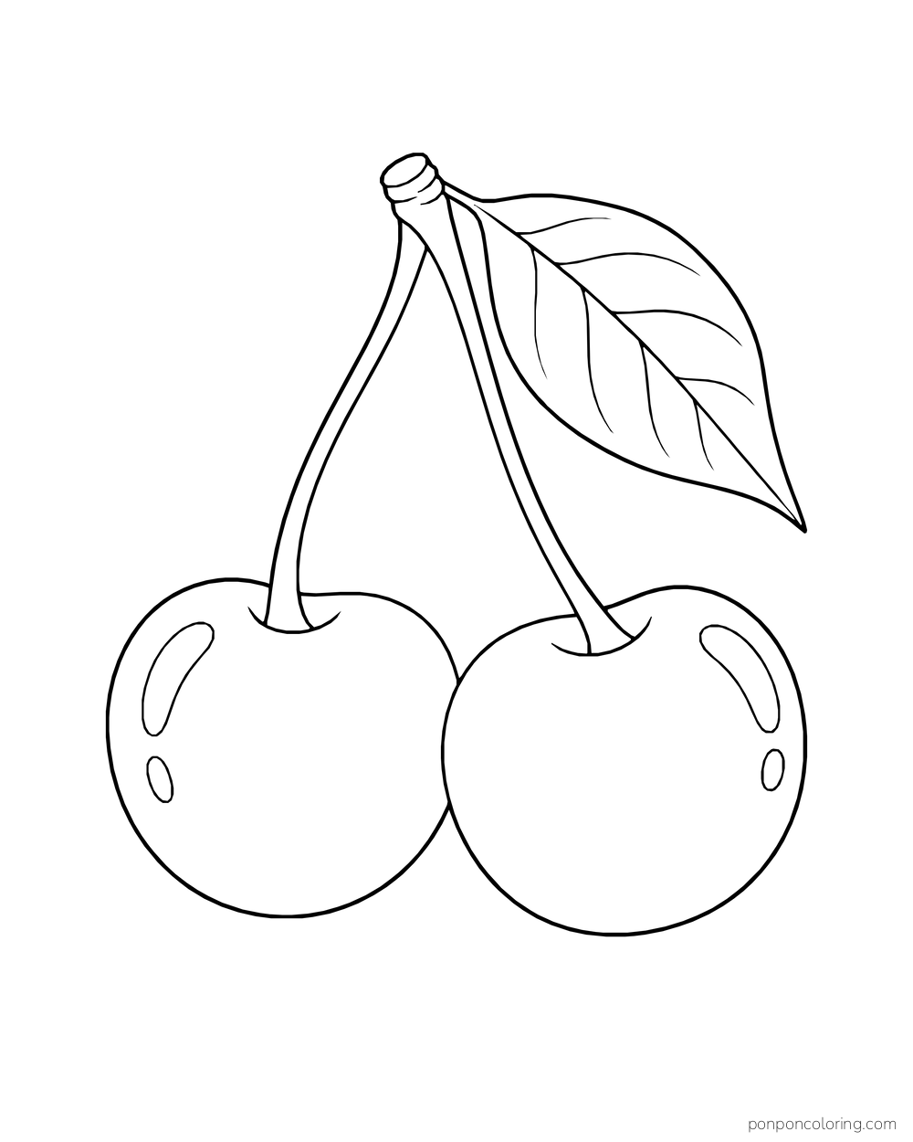 Two round cherries hang from joined stems beneath one broad pointed leaf.
