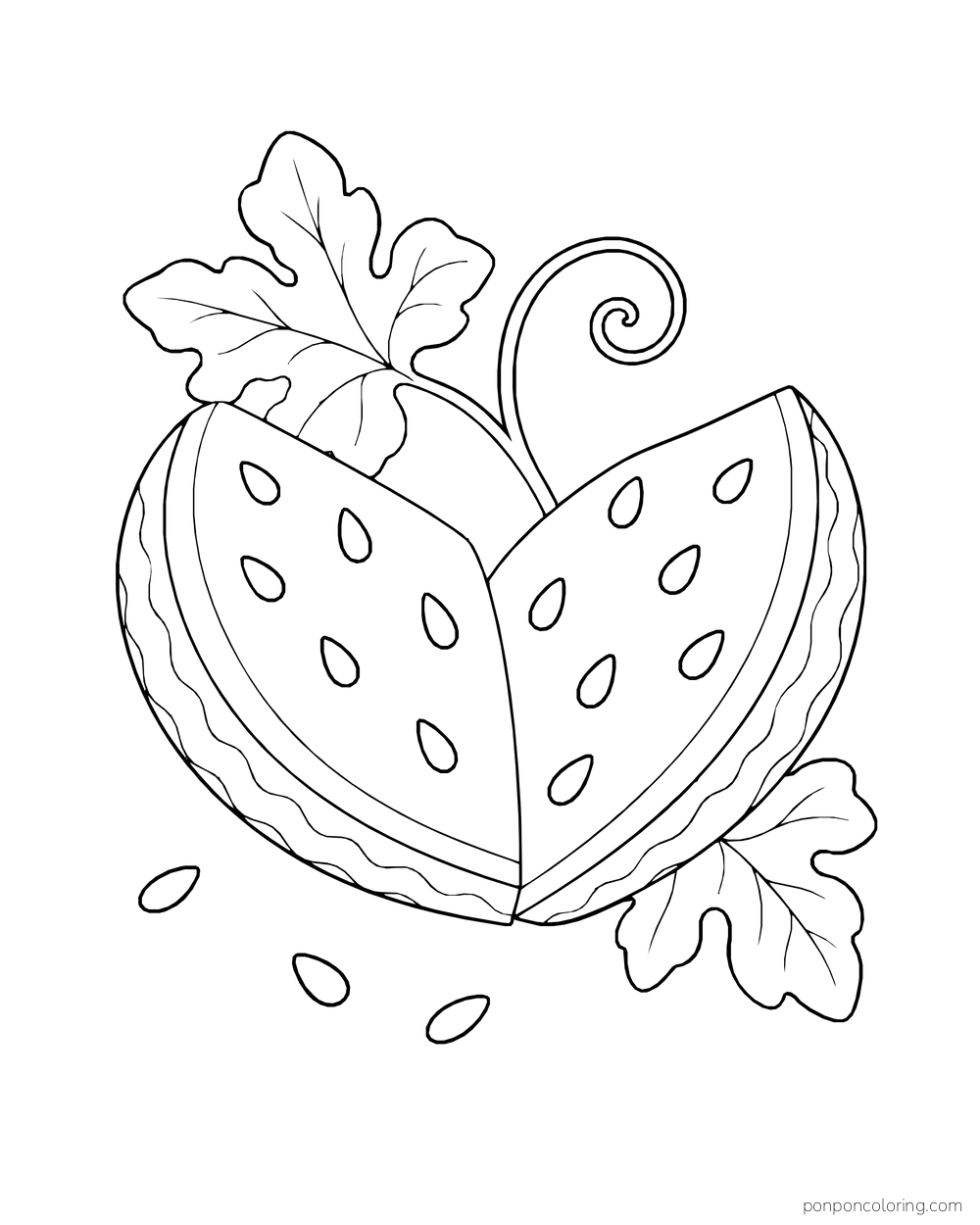 Two watermelon wedges meeting in a heart shape beneath a curling vine and broad leaves.