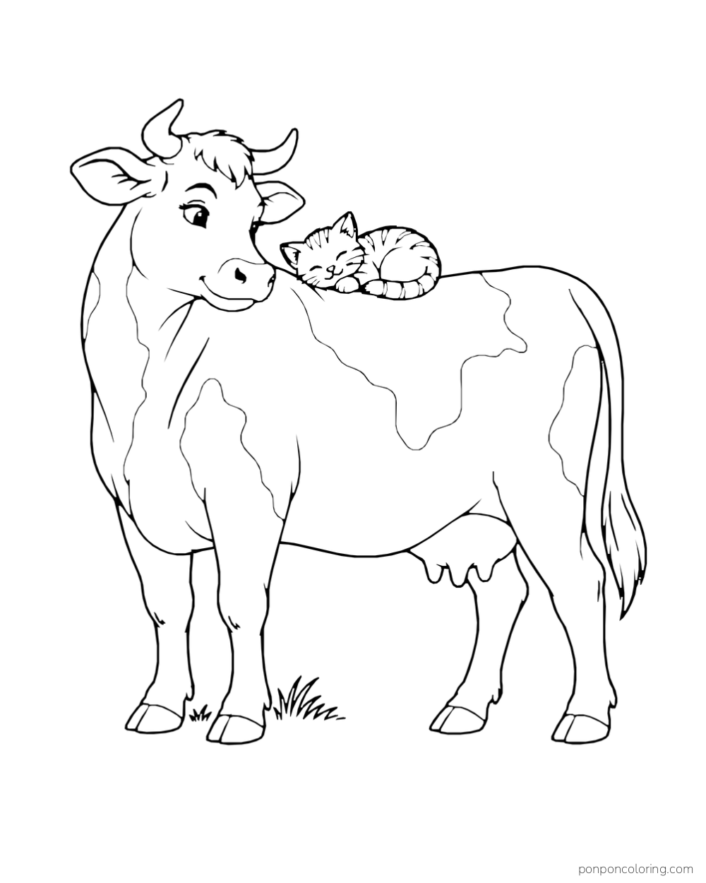 A cow turns its head toward a sleeping kitten curled on its back.