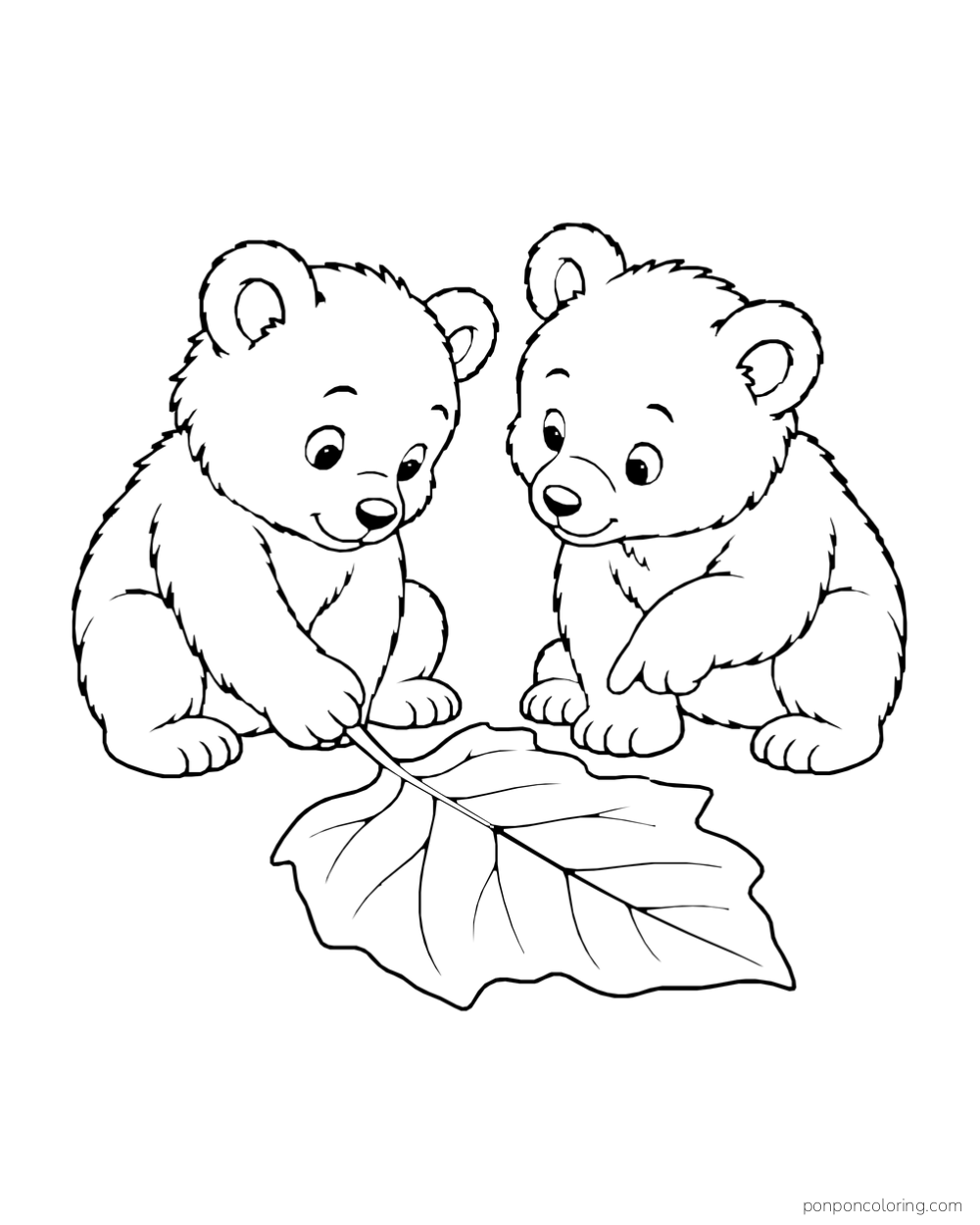 Two bear cubs lean over one large leaf and touch its stem.