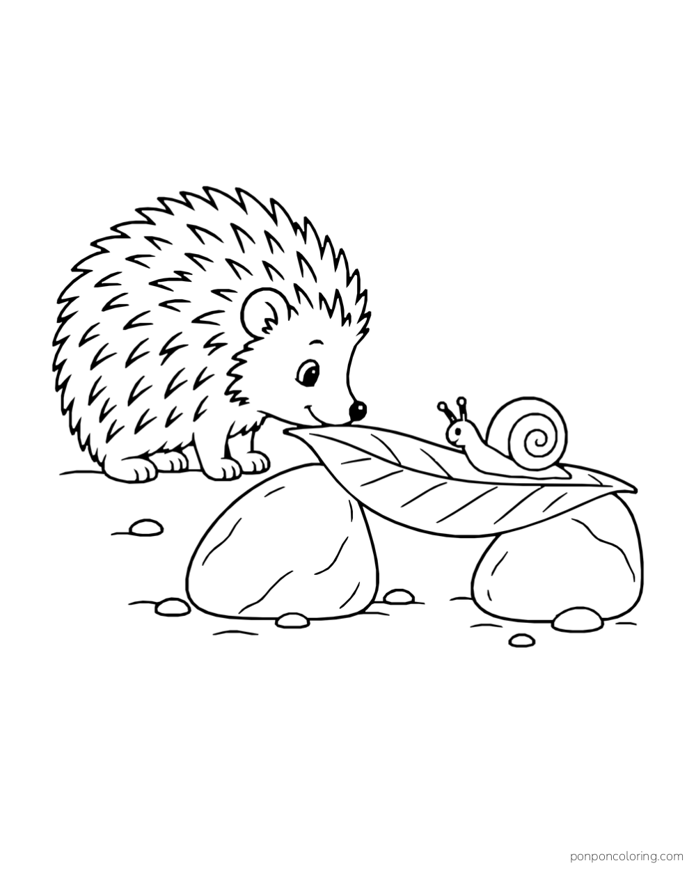 A hedgehog looks at a snail crossing a broad leaf laid between two stones.