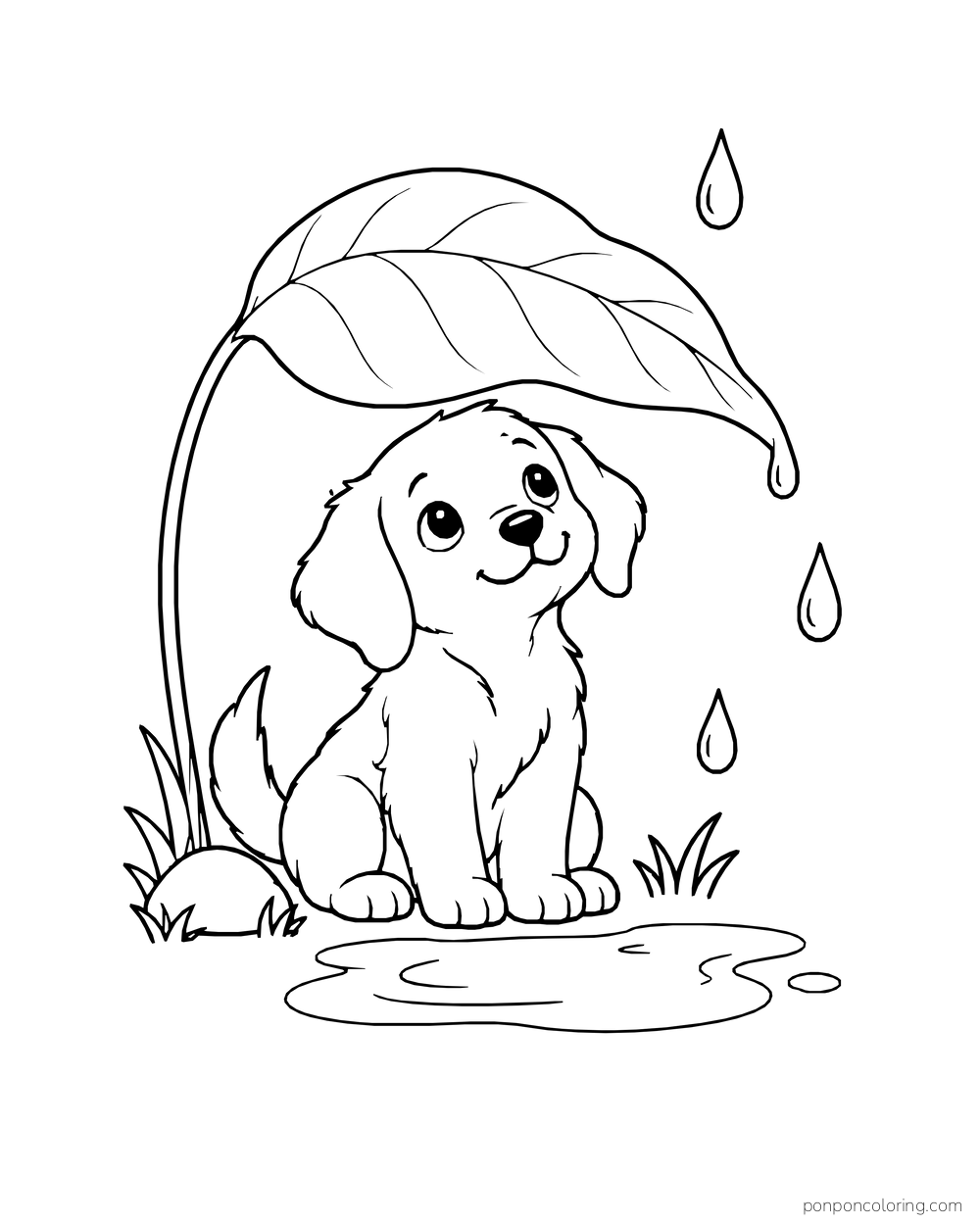 A small puppy sits beneath a broad leaf as raindrops fall near a puddle.