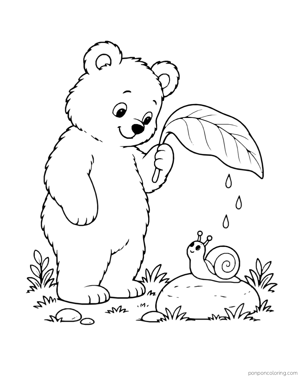 A bear holds a broad leaf above a snail on a stone while raindrops fall.