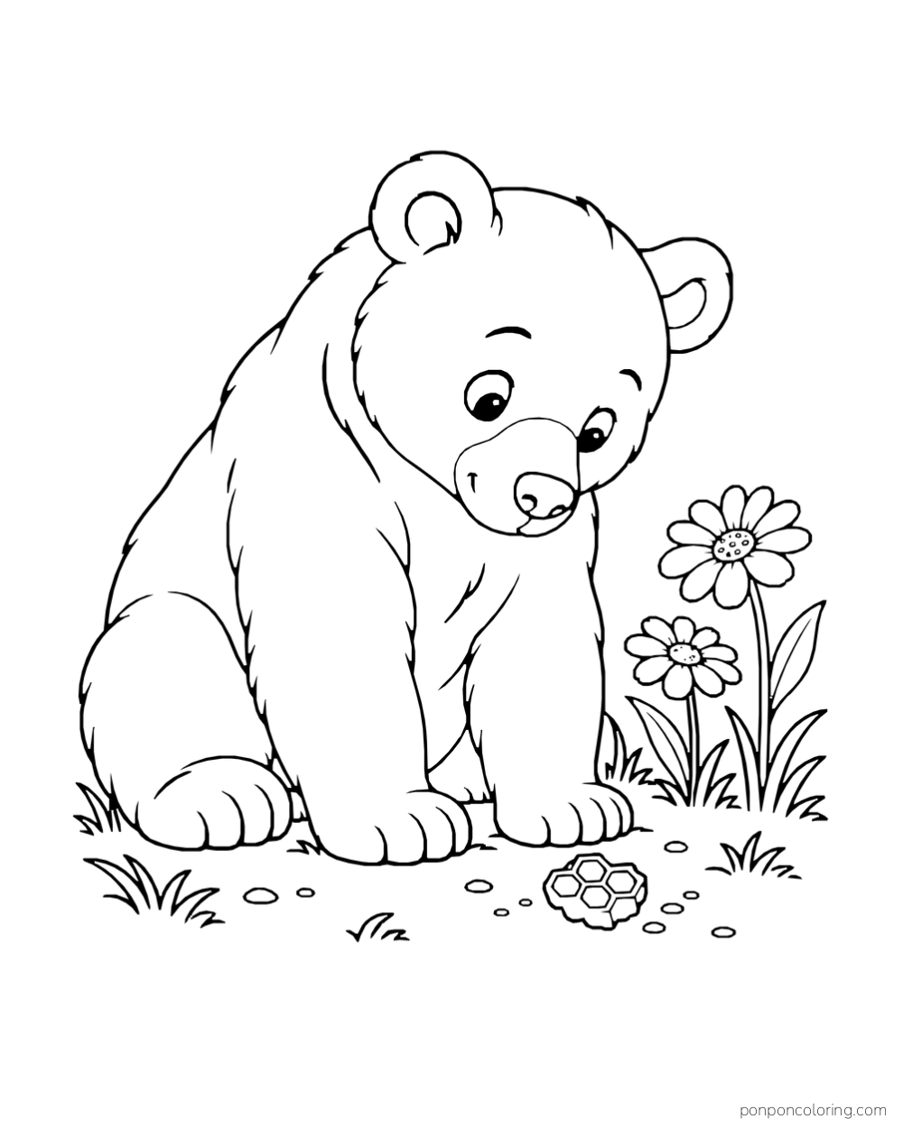 A seated bear looks down at a small round patterned object beside two flowers.