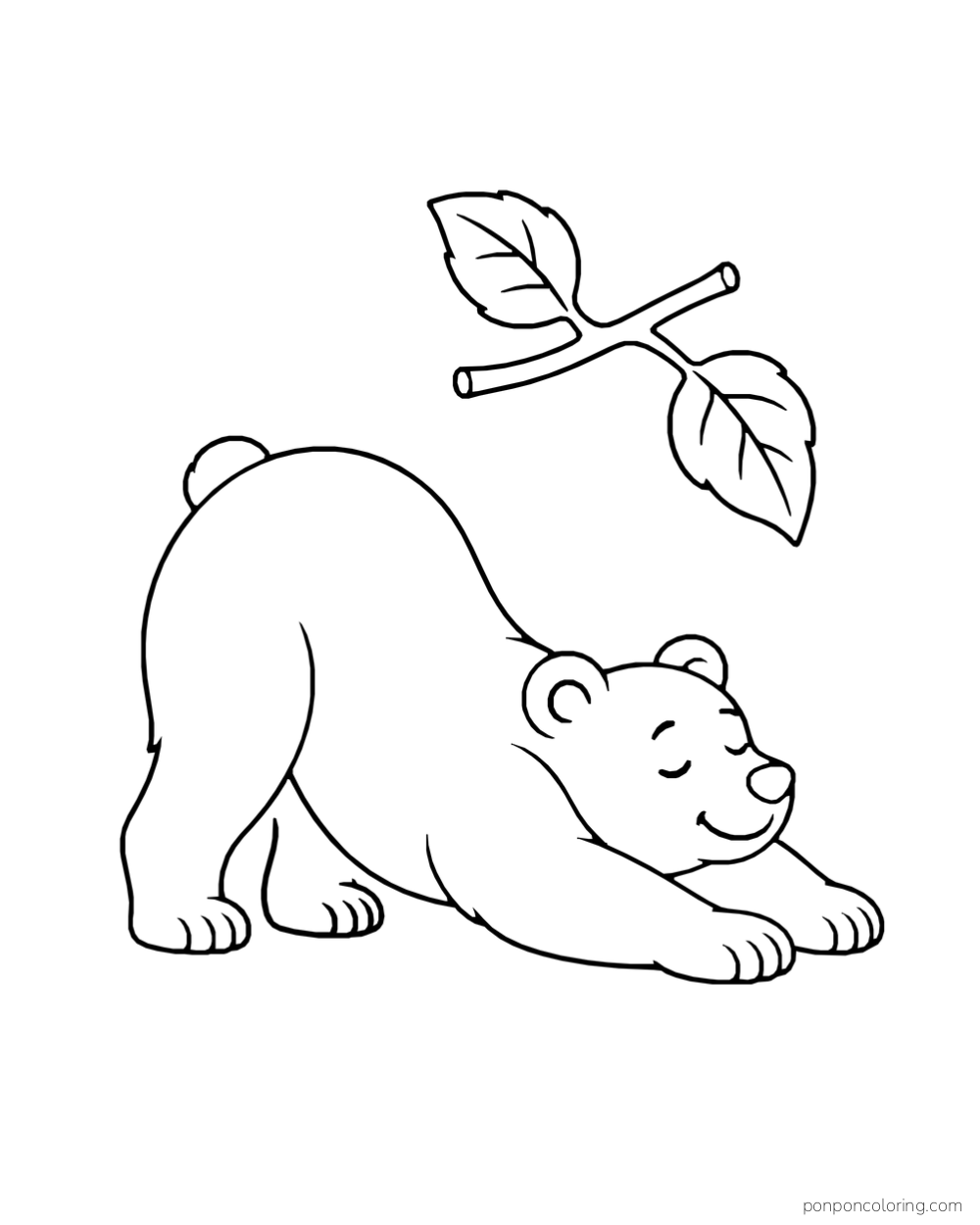 A four-paw bear stretches its front paws beneath a short twig with two leaves.