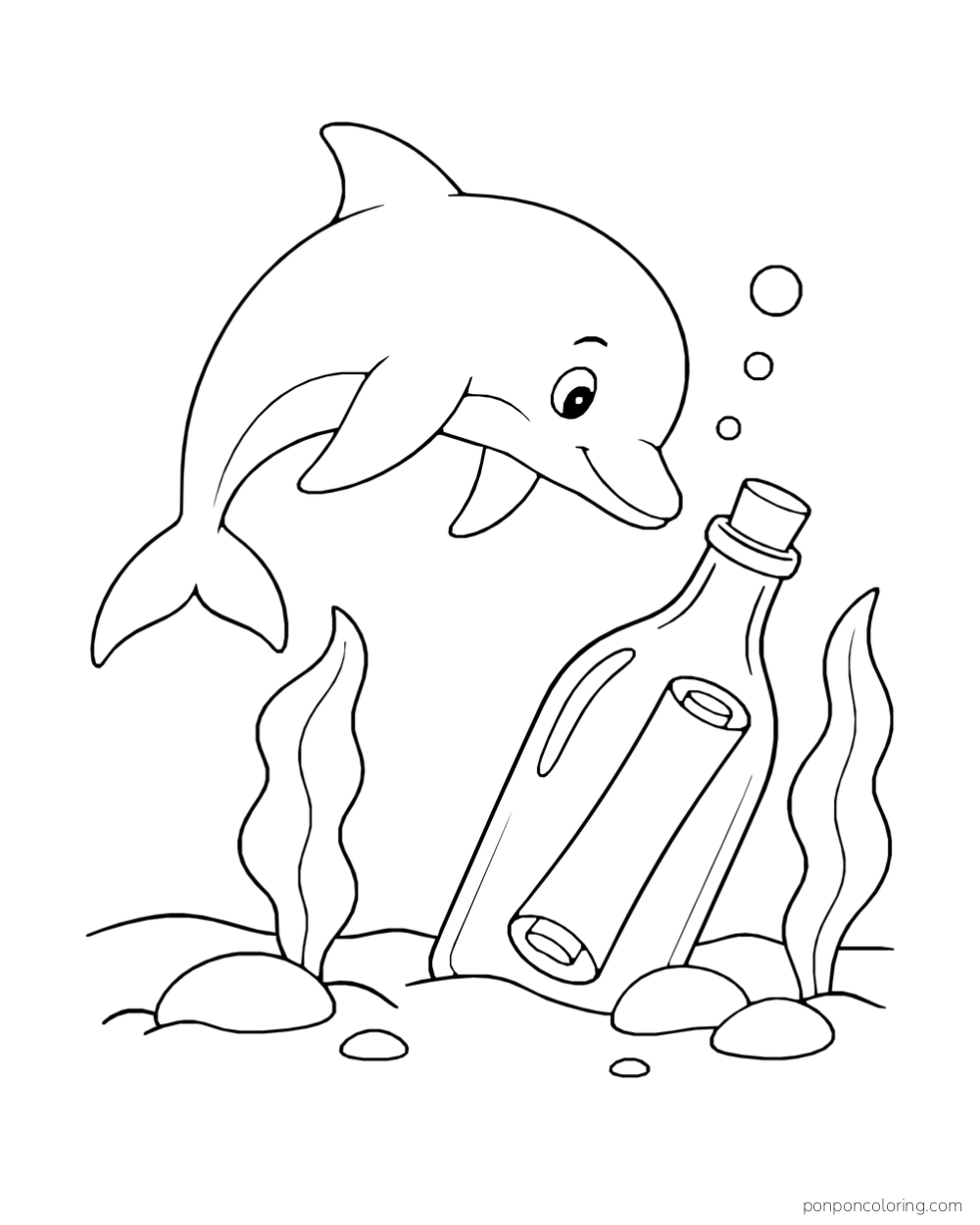 A dolphin examines a corked bottle with a rolled message inside.