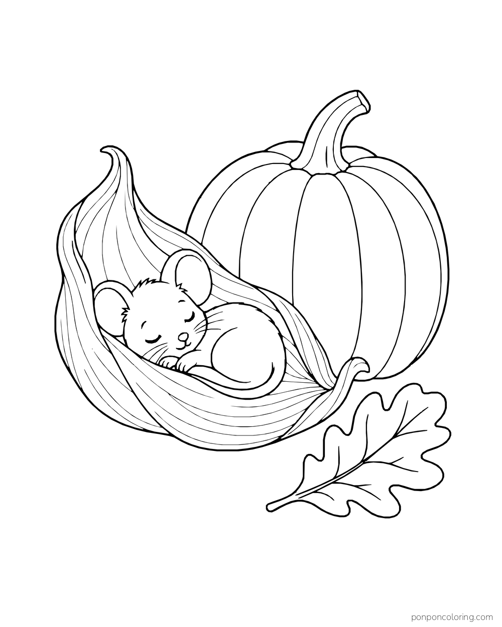 A little mouse sleeps in a curled corn husk beside a pumpkin and oak leaf.