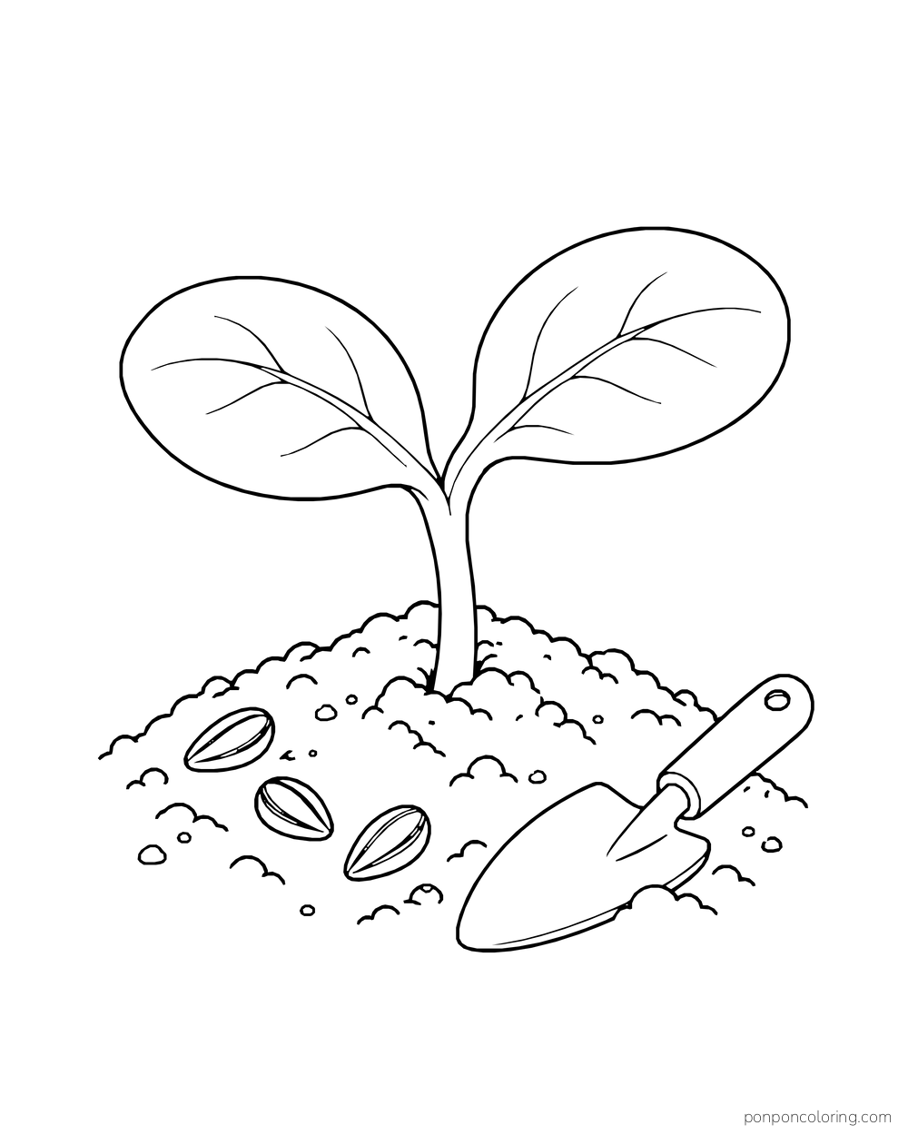 A two-leaf watermelon seedling in a soil mound beside loose seeds and a garden trowel.