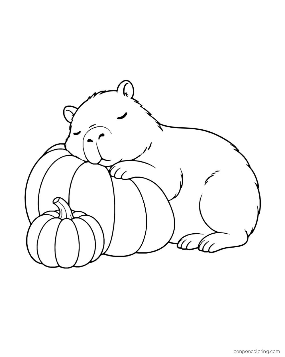 A sleepy capybara rests its head and paws on a large pumpkin beside a smaller one.