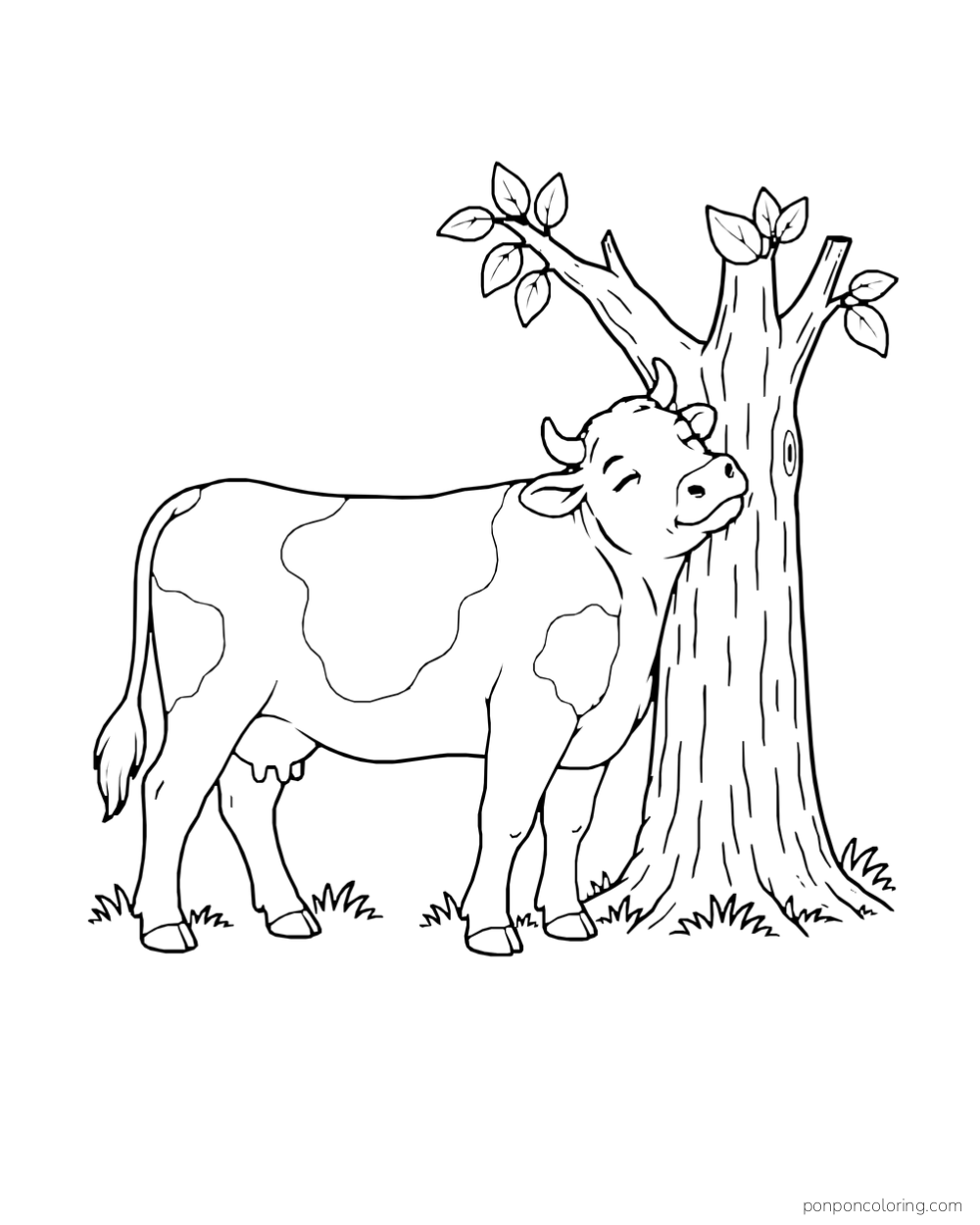 A cow rubs its cheek against a tree trunk.