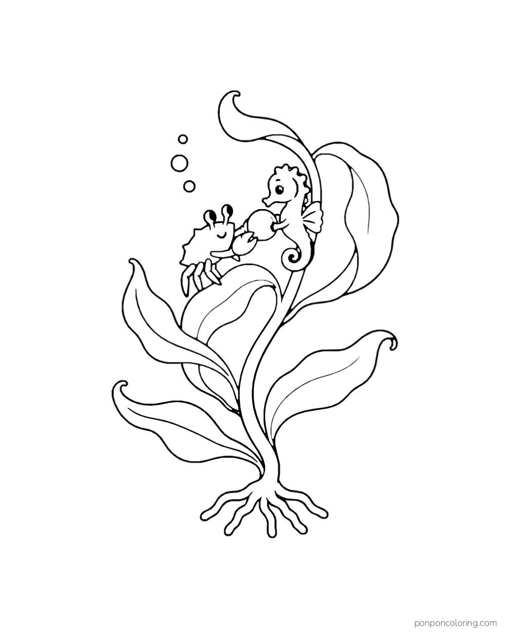 A crab and a seahorse face each other among long kelp leaves.
