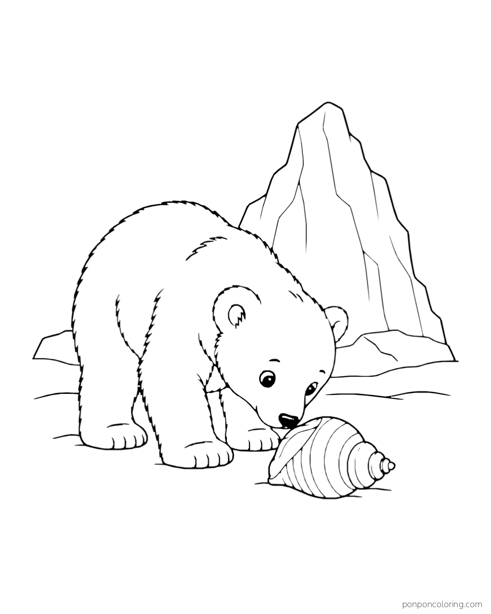 A polar bear cub sniffs a shell beside an iceberg.