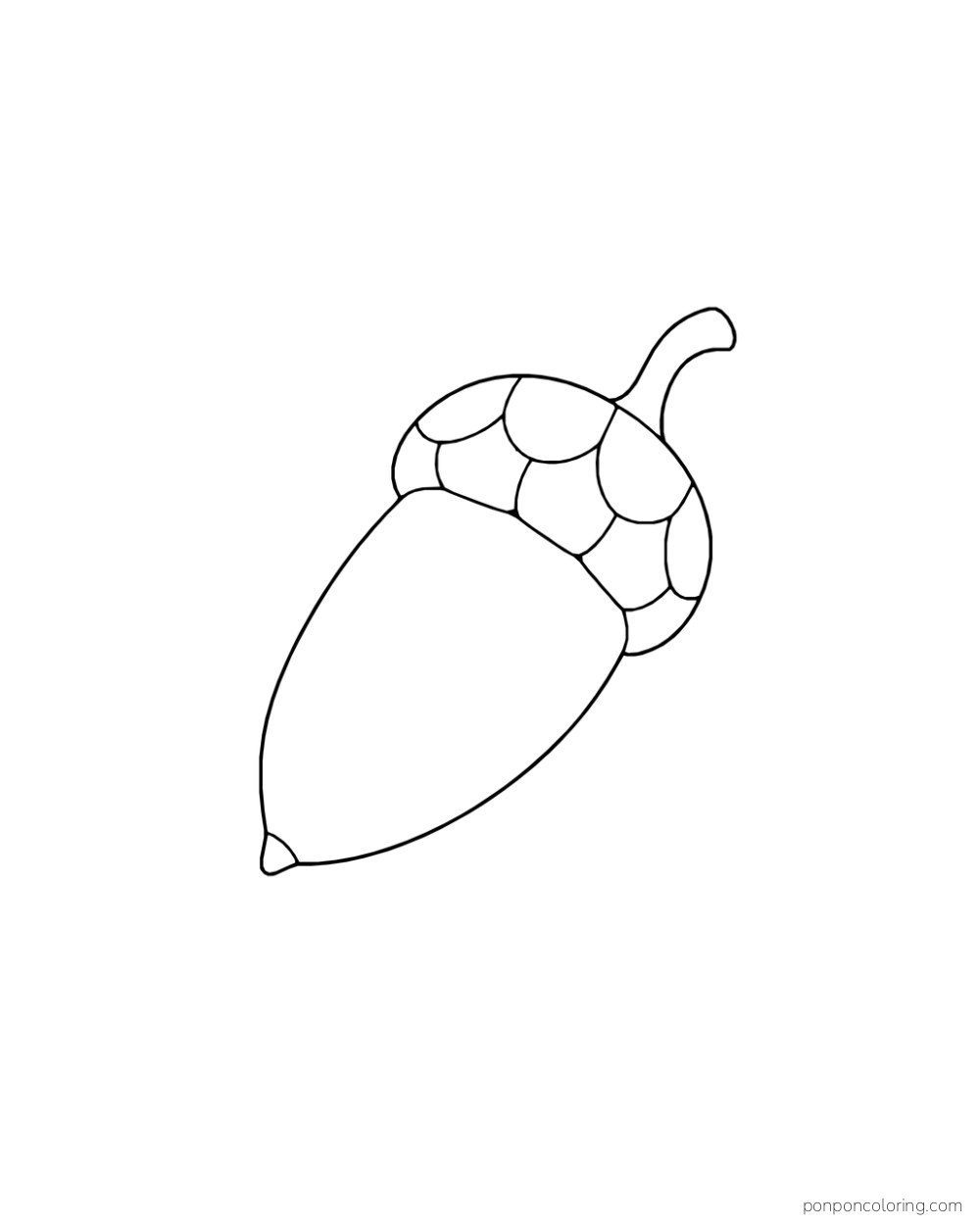 A long acorn tilts diagonally with a broad scaled cap and a curved stem.