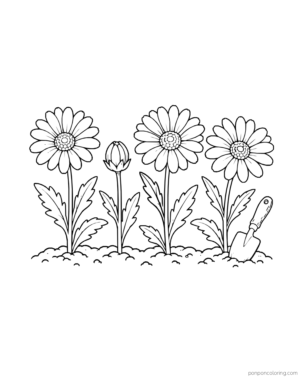 A short garden row holds three open daisies and a small bud beside a trowel.