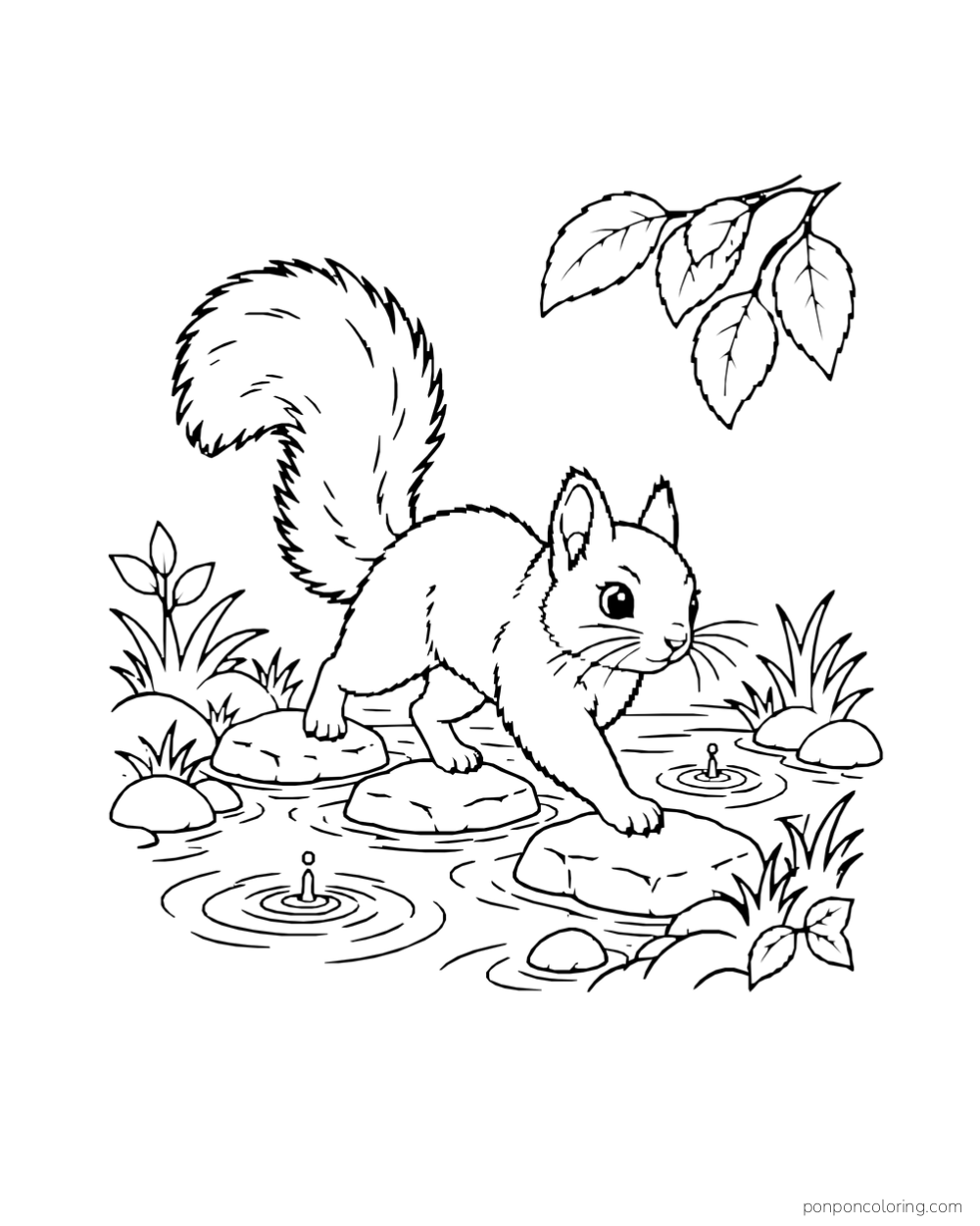 A squirrel steps across a narrow stream on a line of stones.