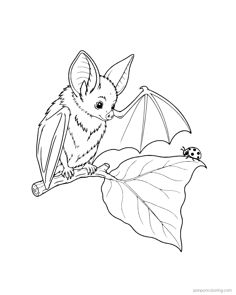 A bat watches a tiny ladybug at the tip of a broad leaf on a short branch.