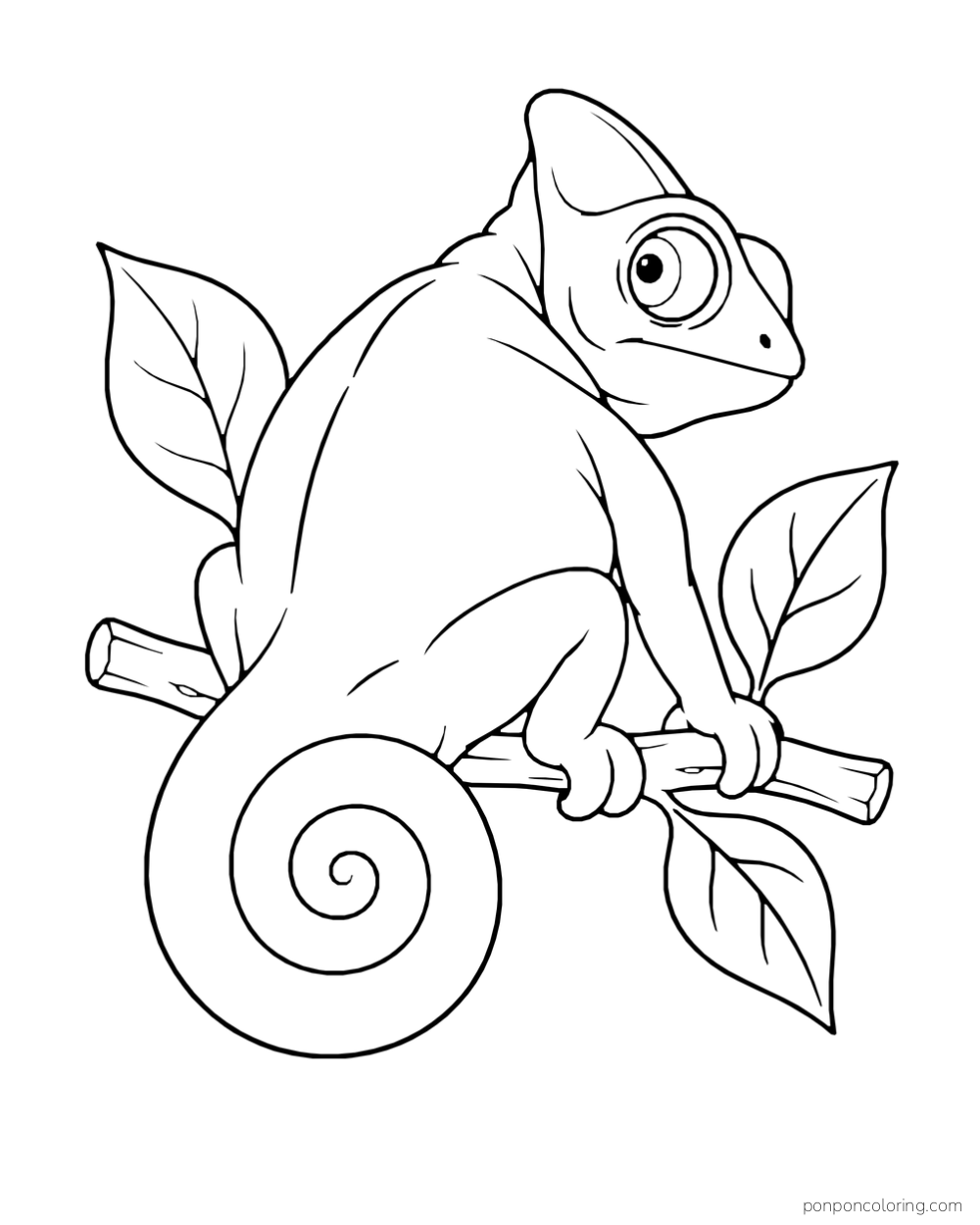 A chameleon looks back over its shoulder on a short leafy twig with its tail curled below.