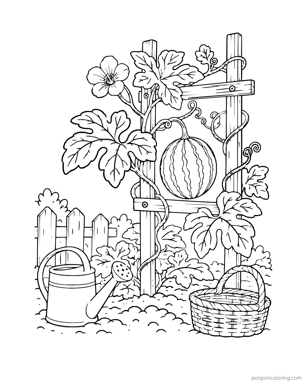 A watermelon vine winding up a garden trellis with a hanging striped melon, leaves, and flowers.