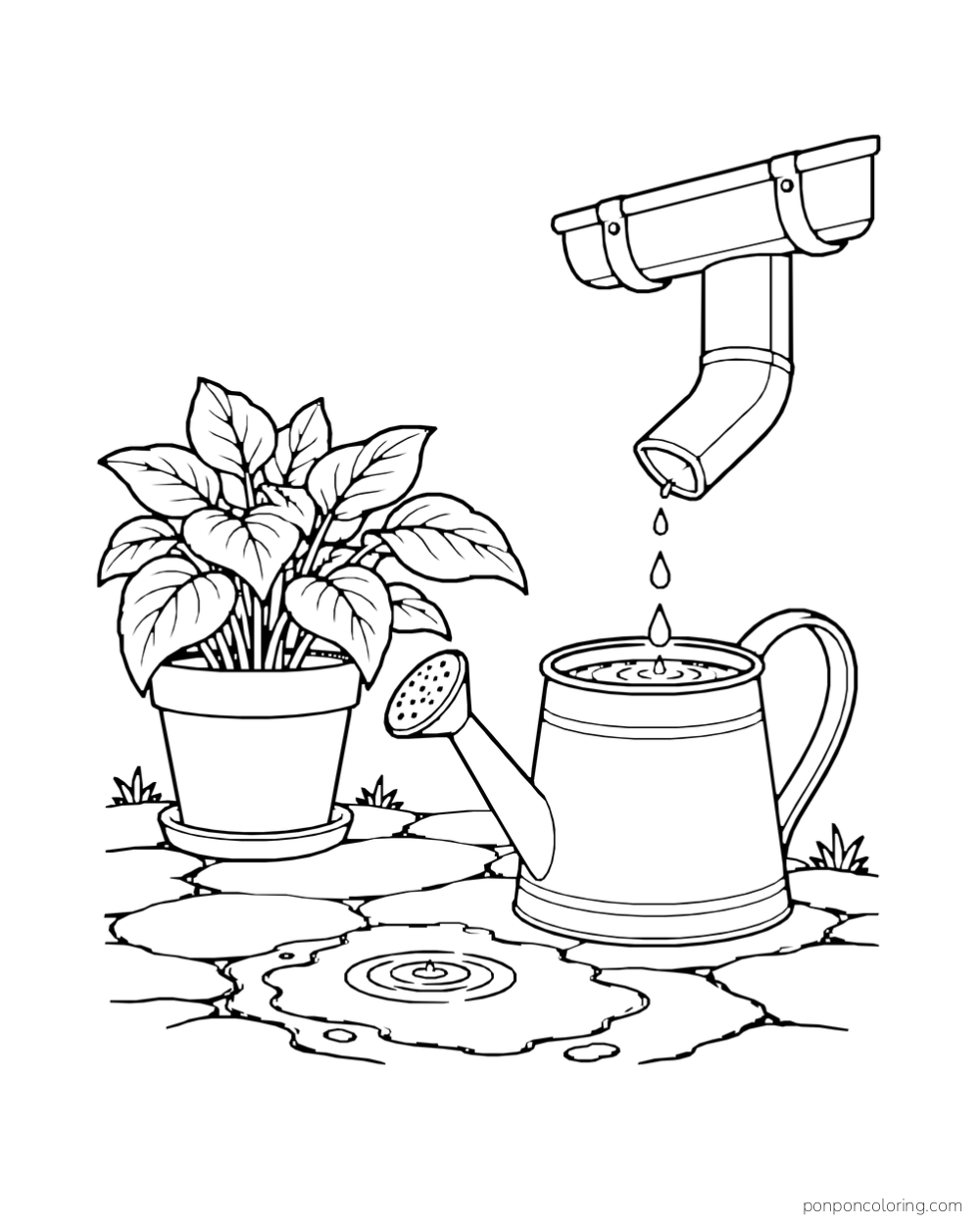 A watering can catches drops from a downspout beside a potted plant.