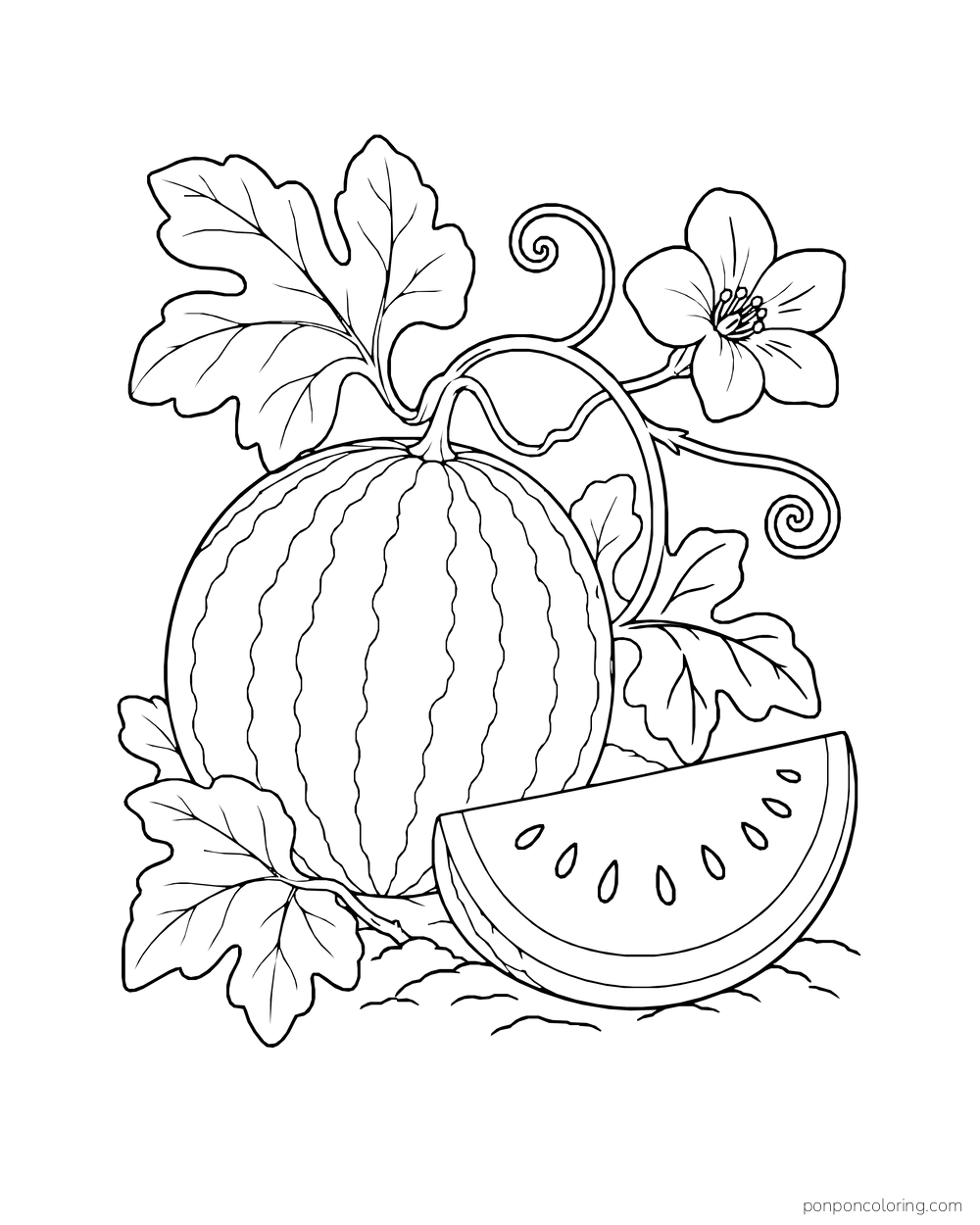 A striped whole watermelon and cut wedge on a vine with broad leaves and a blossom.