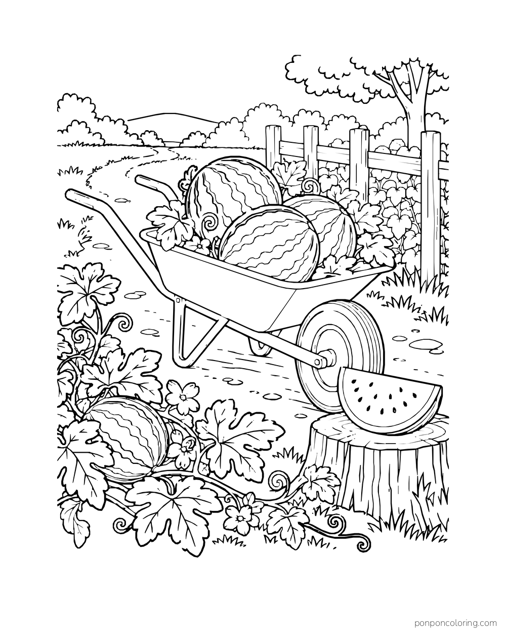 Whole watermelons in a wheelbarrow beside a wedge on a stump and garden vines.