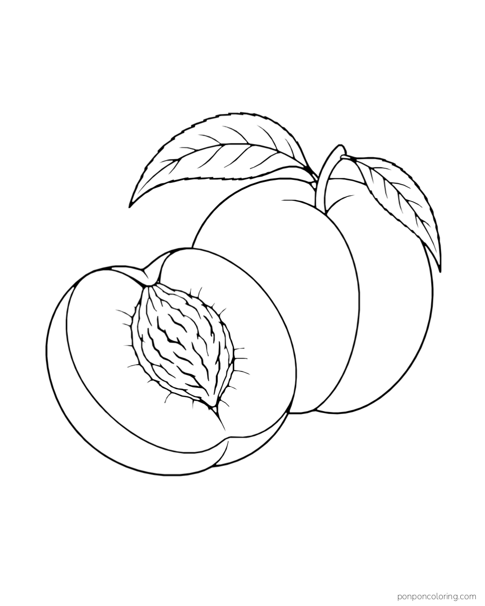 Whole peach behind a cut peach half with a large pit and two leaves.