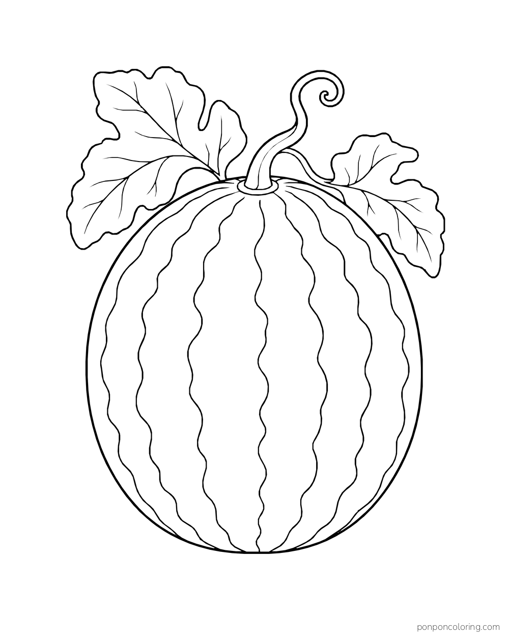 A whole striped watermelon with a curling stem and two broad vine leaves.