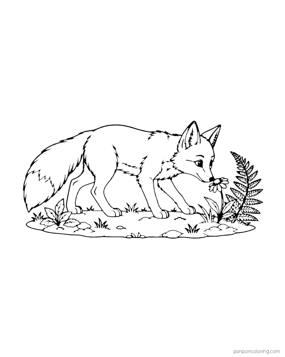 A fox on four paws lowers its nose to a flower beside a fern.