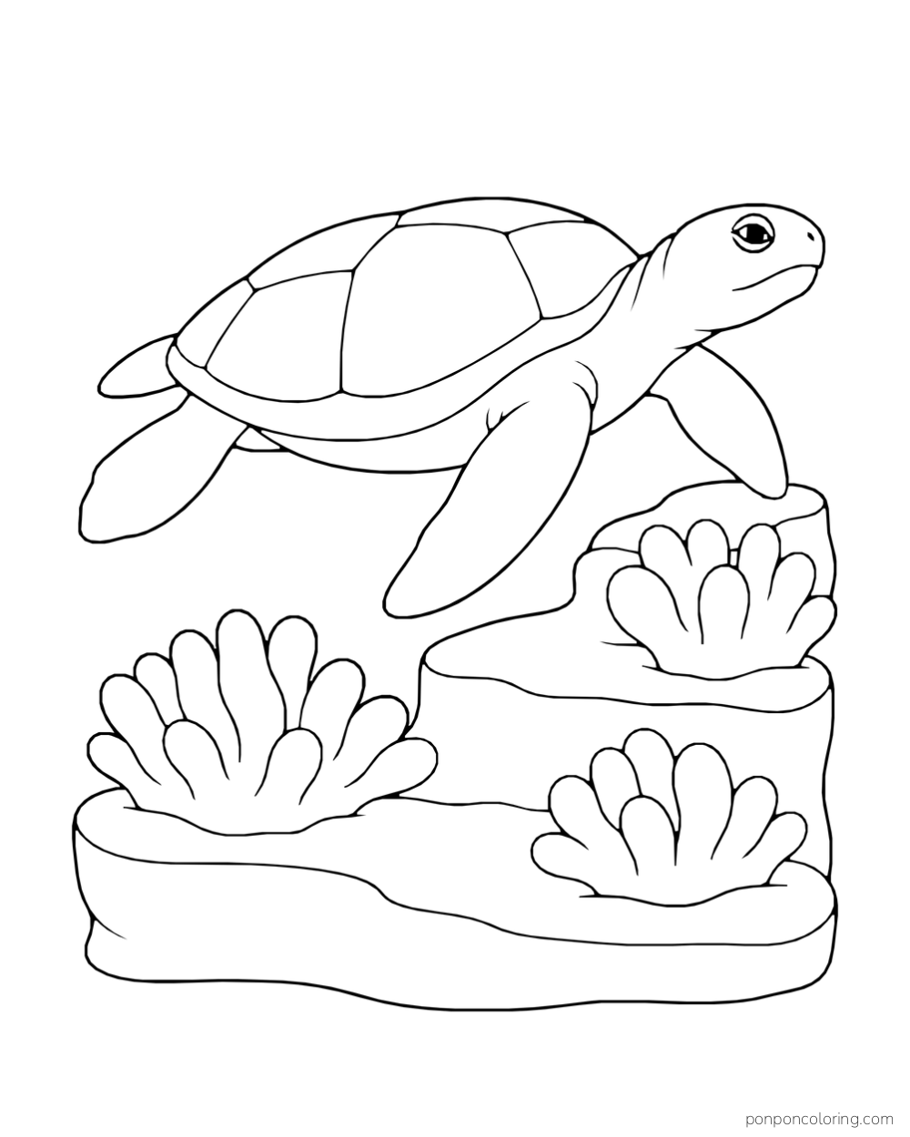 A sea turtle swims beside a stepped coral shelf with three broad coral clusters.