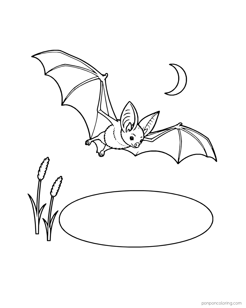 A bat flies beneath a crescent moon above a small oval pond with two reeds.