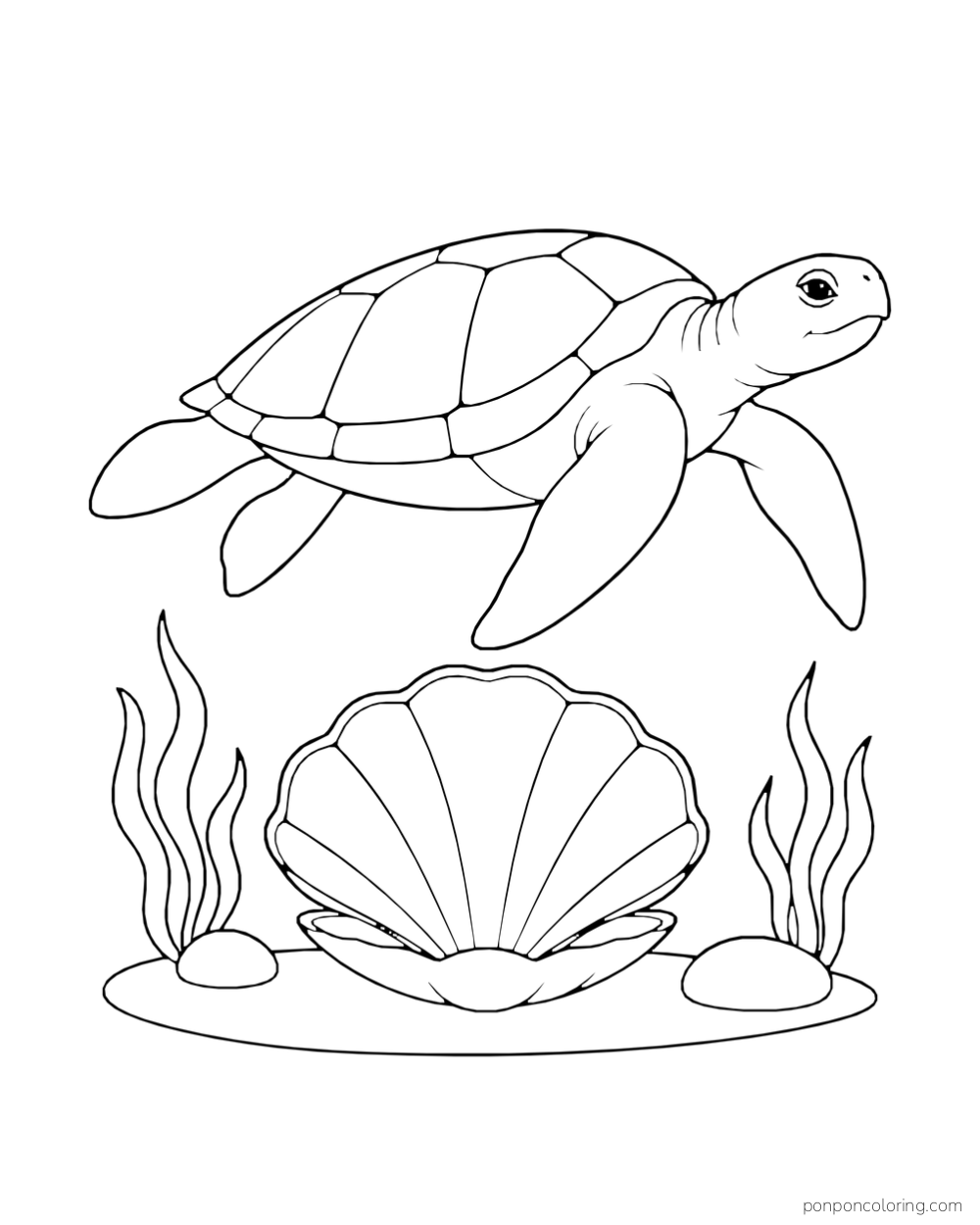 A sea turtle swims above a large open scallop shell and two rounded stones.